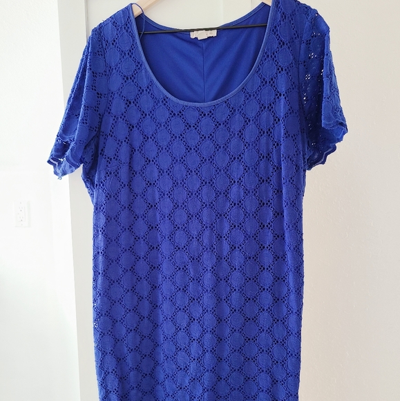dressbarn Dresses & Skirts - LAST CALL! Blue Knit Dress